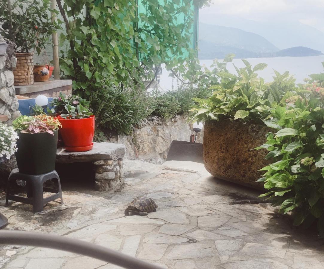 Villa Malezan Охрид Екстериор снимка